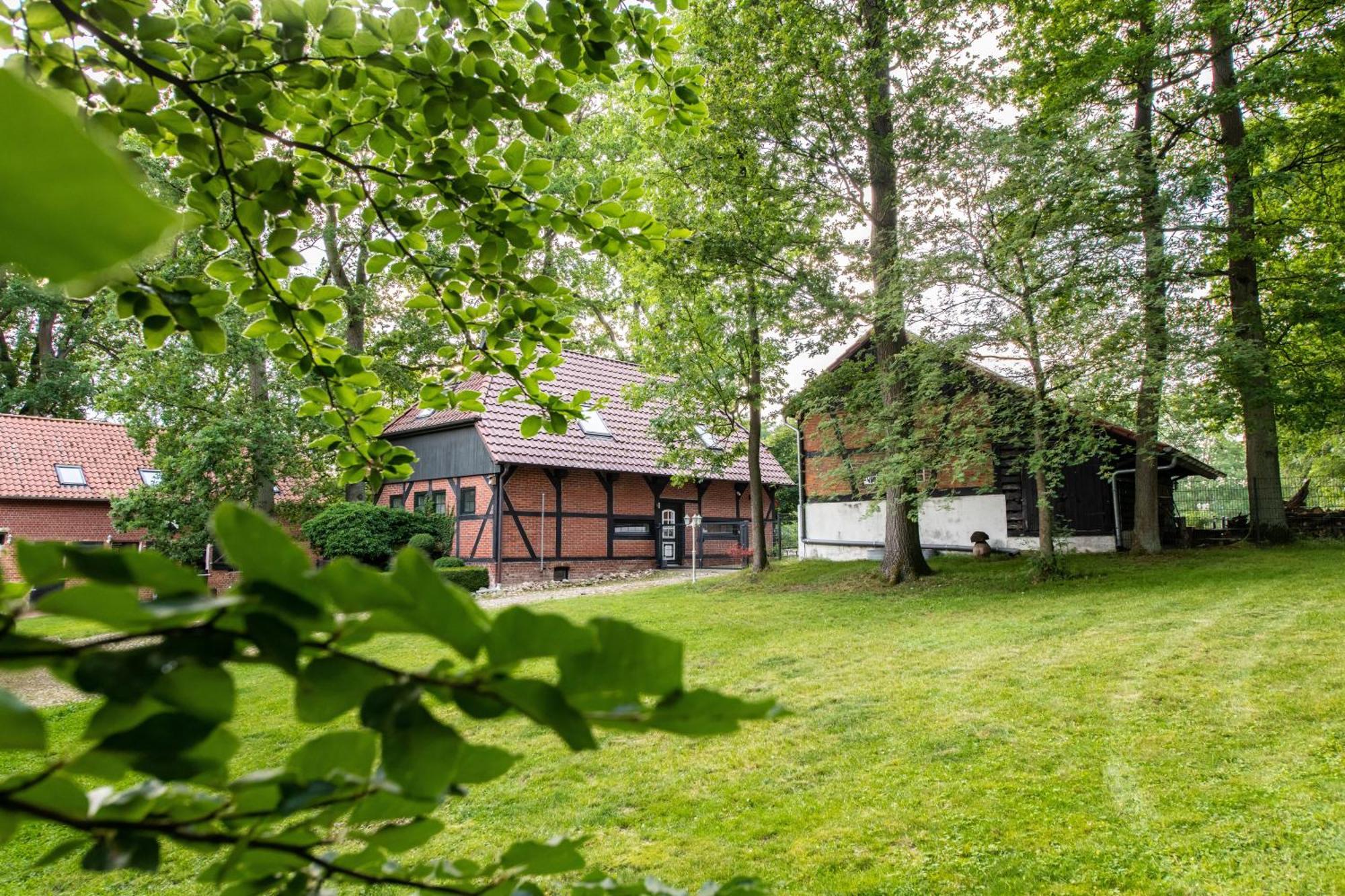 Traumhaftes Anwesen In Der Lueneburger Heide Apartment Soltau Bagian luar foto